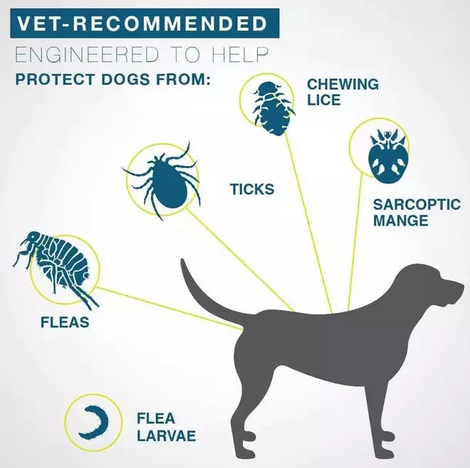 2x Seresto Flea & Tick Collar for Large Dogs 18lbs 8Months Protection New S+2025